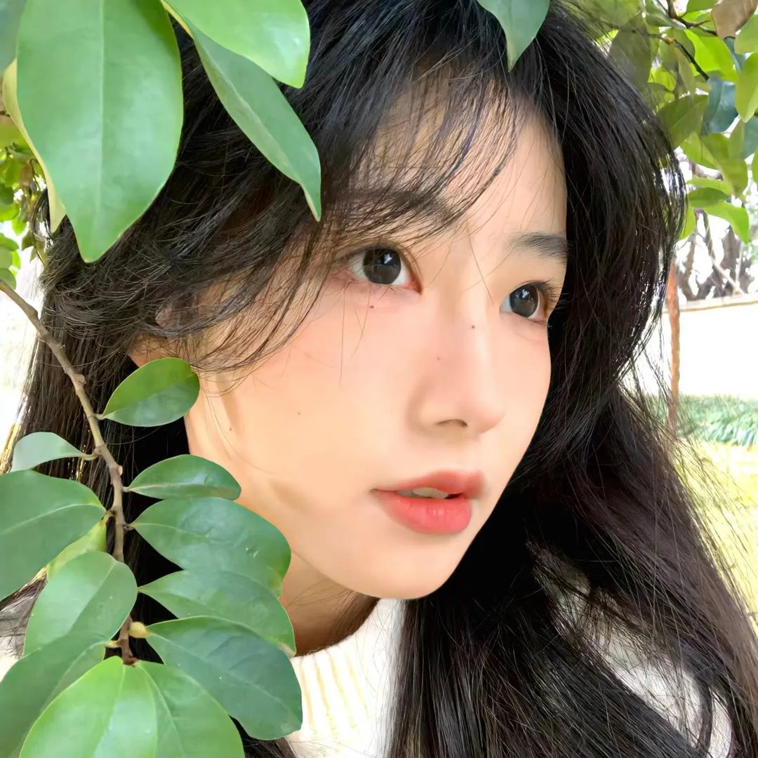 形单影孤